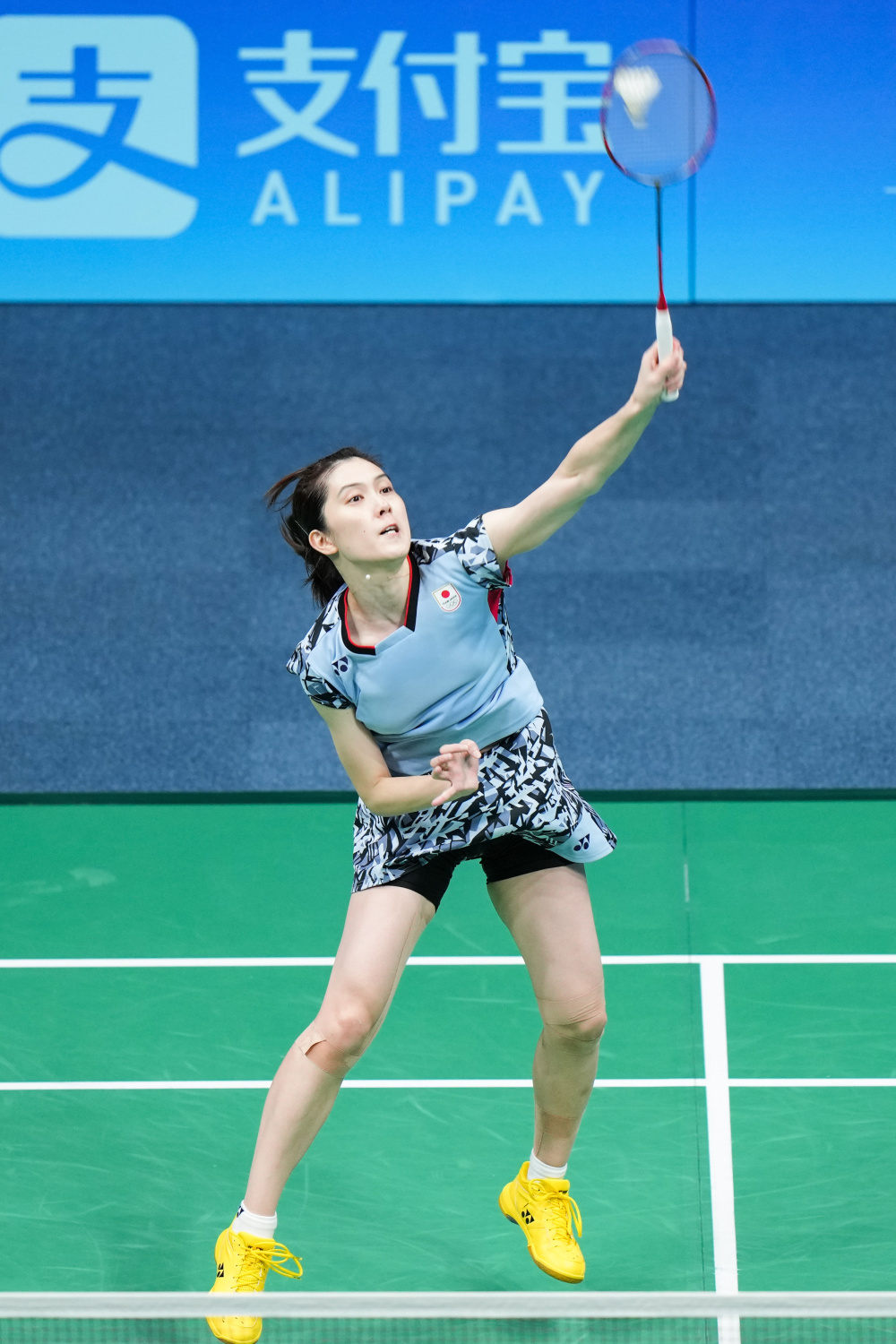 场之旅画上 场之旅画上